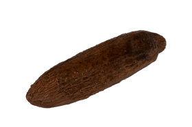 Pastaie Vanilie