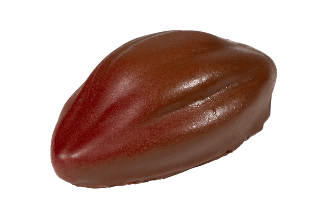Fruct de cacao